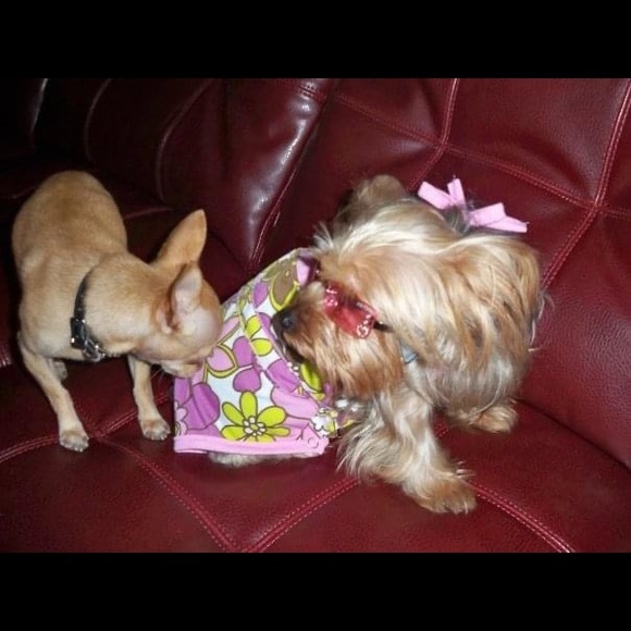 Meet your Posher, Michelle - Picture 8 of 9